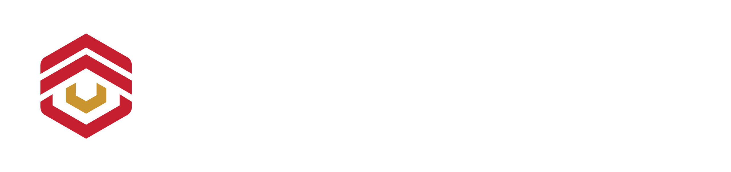 Victor Dang
